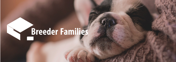 Breeder Familiesで子犬/ブリーダーを探す